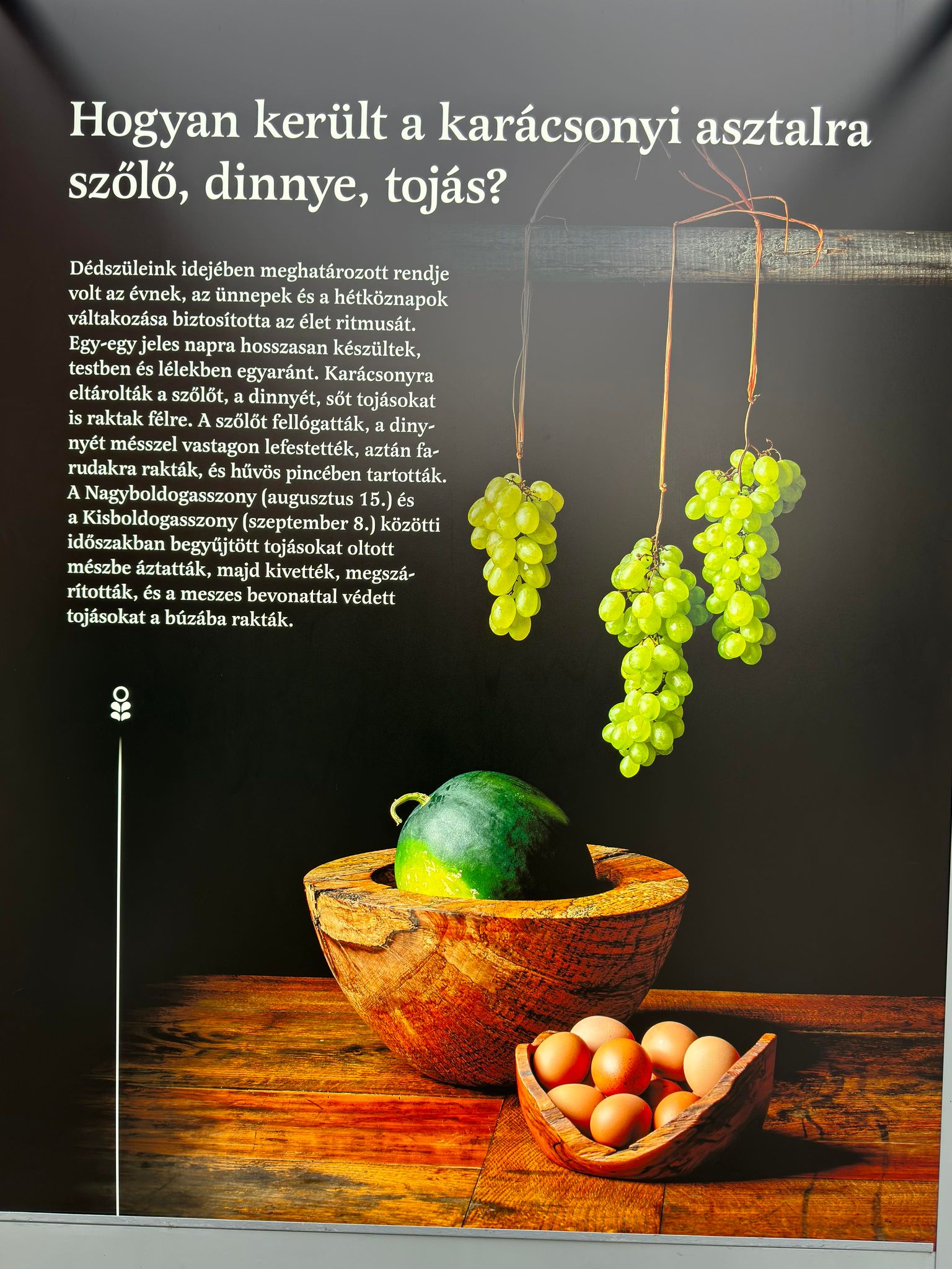 Nincs elérhető leírás.